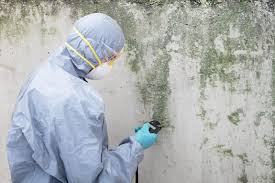 Best Asbestos and Lead Testing During Mold Inspection in Boston Heights, OH